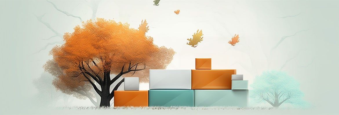 Faltschachtelverpackung