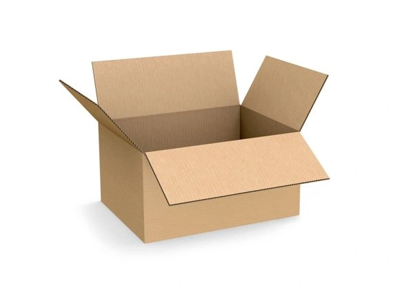 faltkarton_unbedruckt.jpg