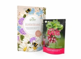 Packaging Graines de Plantes et de Légumes