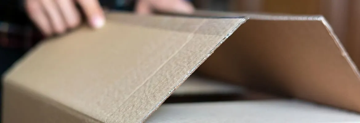 Short descriptive text