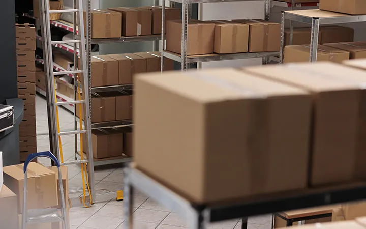 Short descriptive text