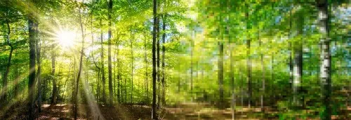 Continui problemi con i dpi nelle immagini?