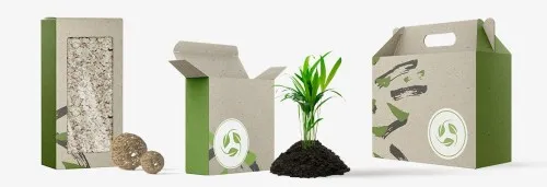 Labelprint24 espande ulteriormente il packaging sostenibile: il cartone realizzato con erba
