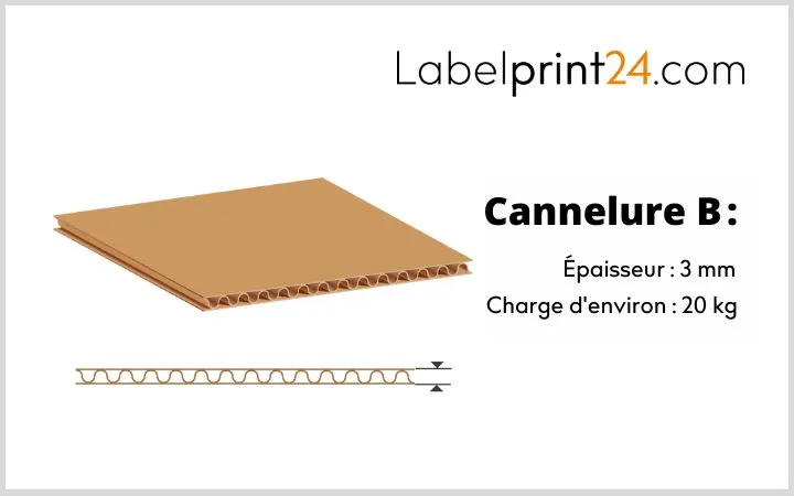 Cannelure B