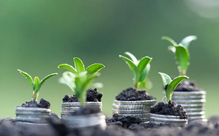 Kosteneffizienz Kosteneffizienz