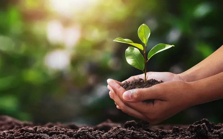 Nachhaltigkeit Nachhaltigkeit