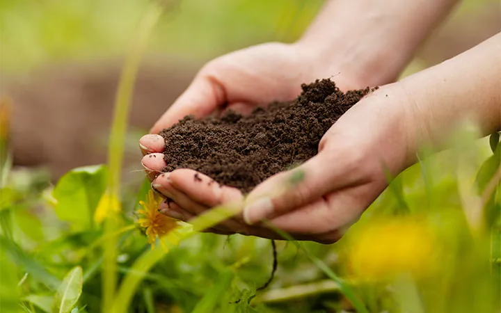 Erde in Hand von Mensch Erde in Hand von Mensch