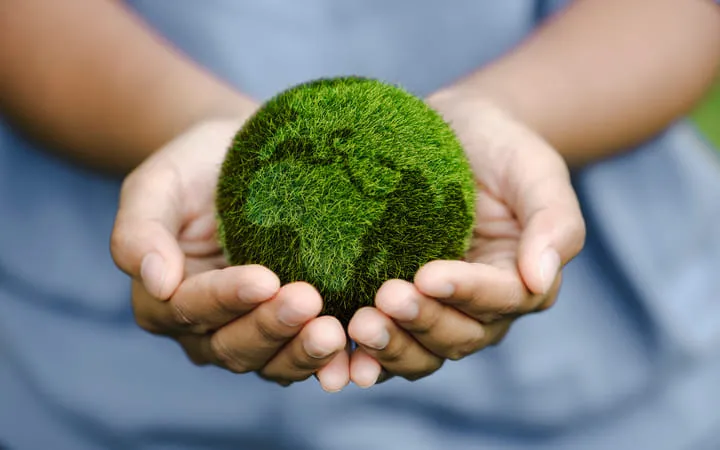 Nachhaltige Verpackungen