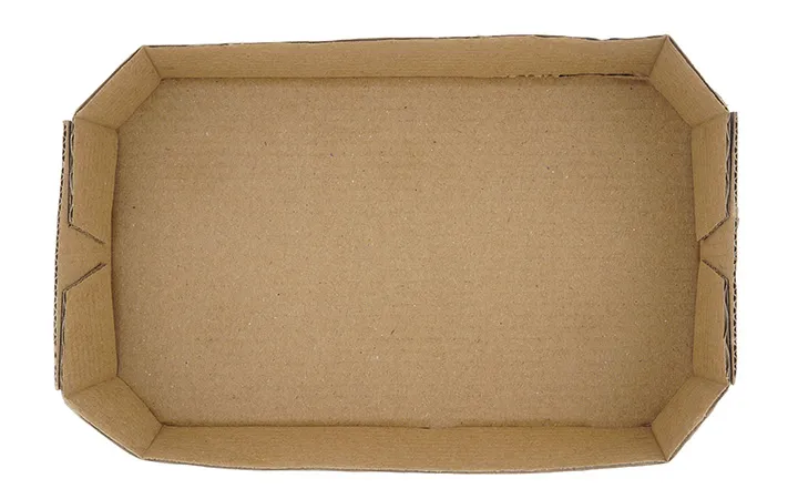 Obstschale aus Wellpappe Obstschale aus Wellpappe