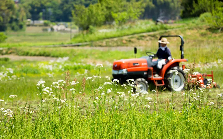 Bauer Japan Bauer Japan