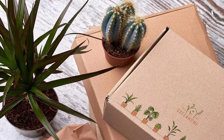 Eco-friendly shipping boxes