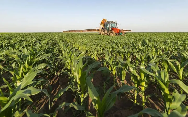 Biologisch kompostierbare Alterativen aus nachwachsenden Rohstoffen wie Mais Biologisch kompostierbare Alterativen aus nachwachsenden Rohstoffen wie Mais