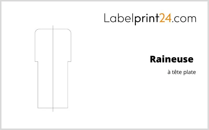 Raineuse à tête plate