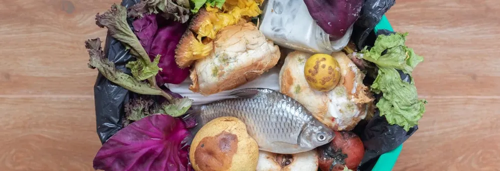 Lebensmittelkompost  Lebensmittelkompost