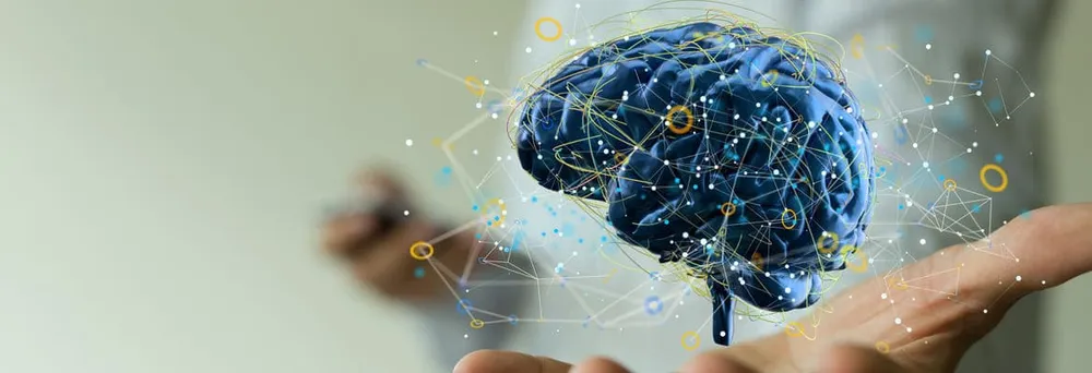 Gehirn mit Vernetzungen welches die Künstliche Intelligenz symbolisiert Gehirn mit Vernetzungen welches die Künstliche Intelligenz symbolisiert