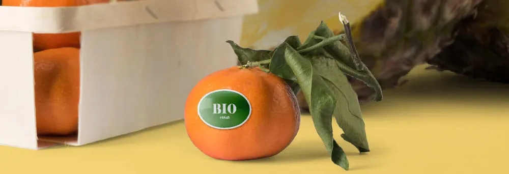 Mandarine mit Bio-Etikett Mandarine mit Bio-Etikett
