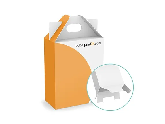 Pharmaceutical carrying handle box