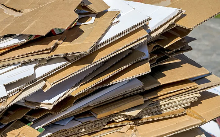 Short descriptive text