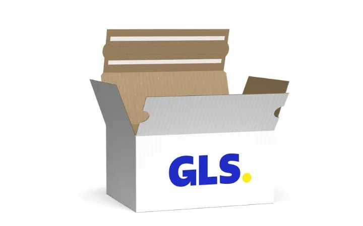 GLS Karton 550 x 350 x 350 mm