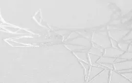 Dorure à chaud Dorure à chaud