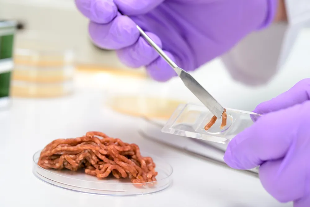 Hackfleisch-Probe wird zur Untersuchung entnommen