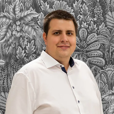 consultant consultant