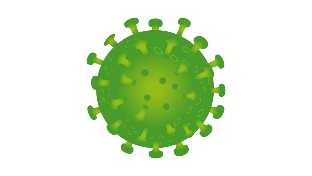 Corona Virus