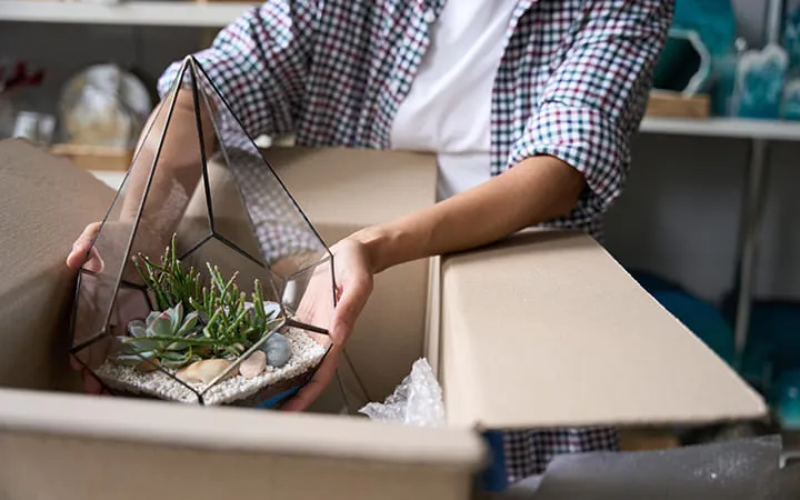 Frau packt Terrarium aus Karton aus 