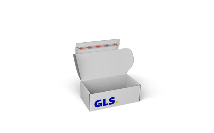 GLS Karton 250 x 150 x 90 mm