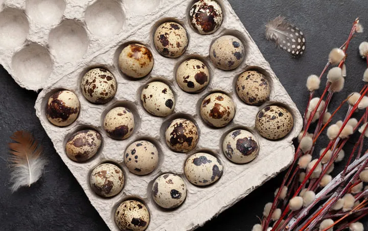 Eggs in an egg carton