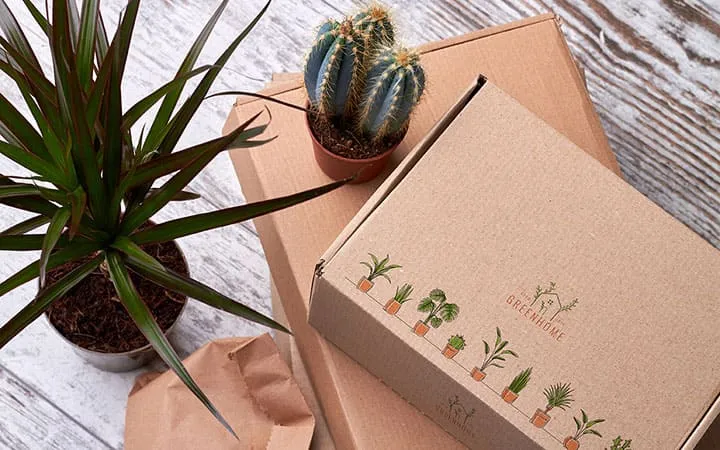 Individualised shipping boxes