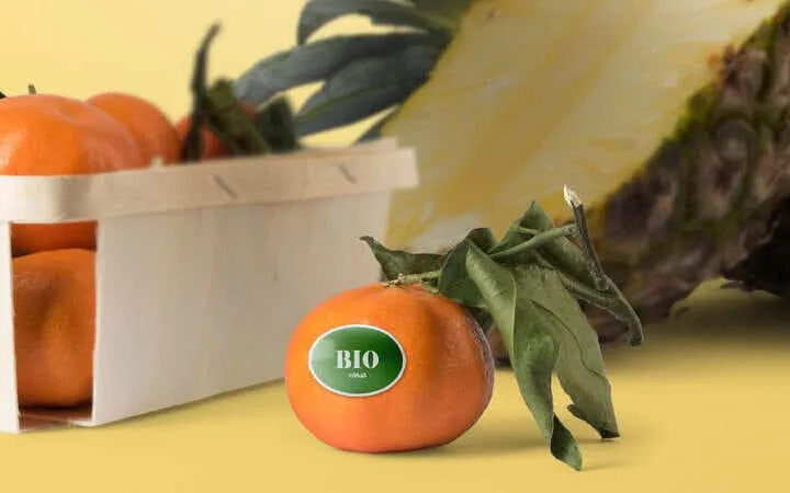 Im Fokus eine Mandarine mit einem Lebensmitteletikett und links im Hintergrund ein Korb voller Mandarinen Im Fokus eine Mandarine mit einem Lebensmitteletikett und links im Hintergrund ein Korb voller Mandarinen